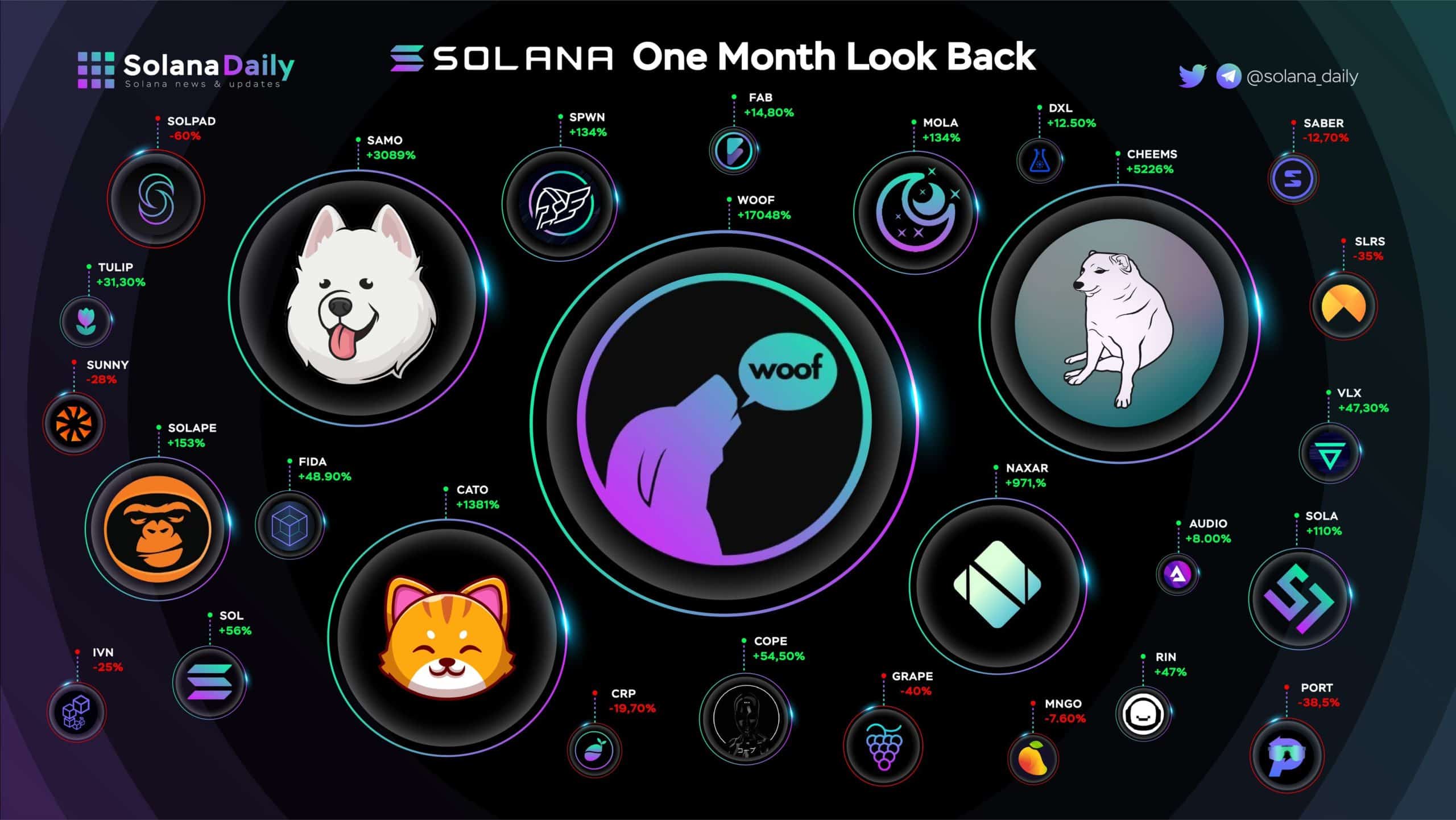 Solana's Ecosystem